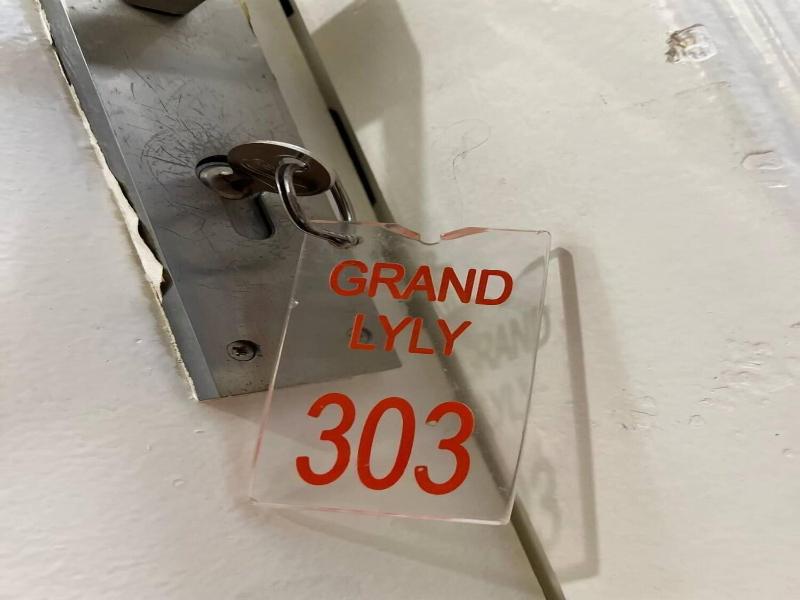 Grand Lyly Hotel image