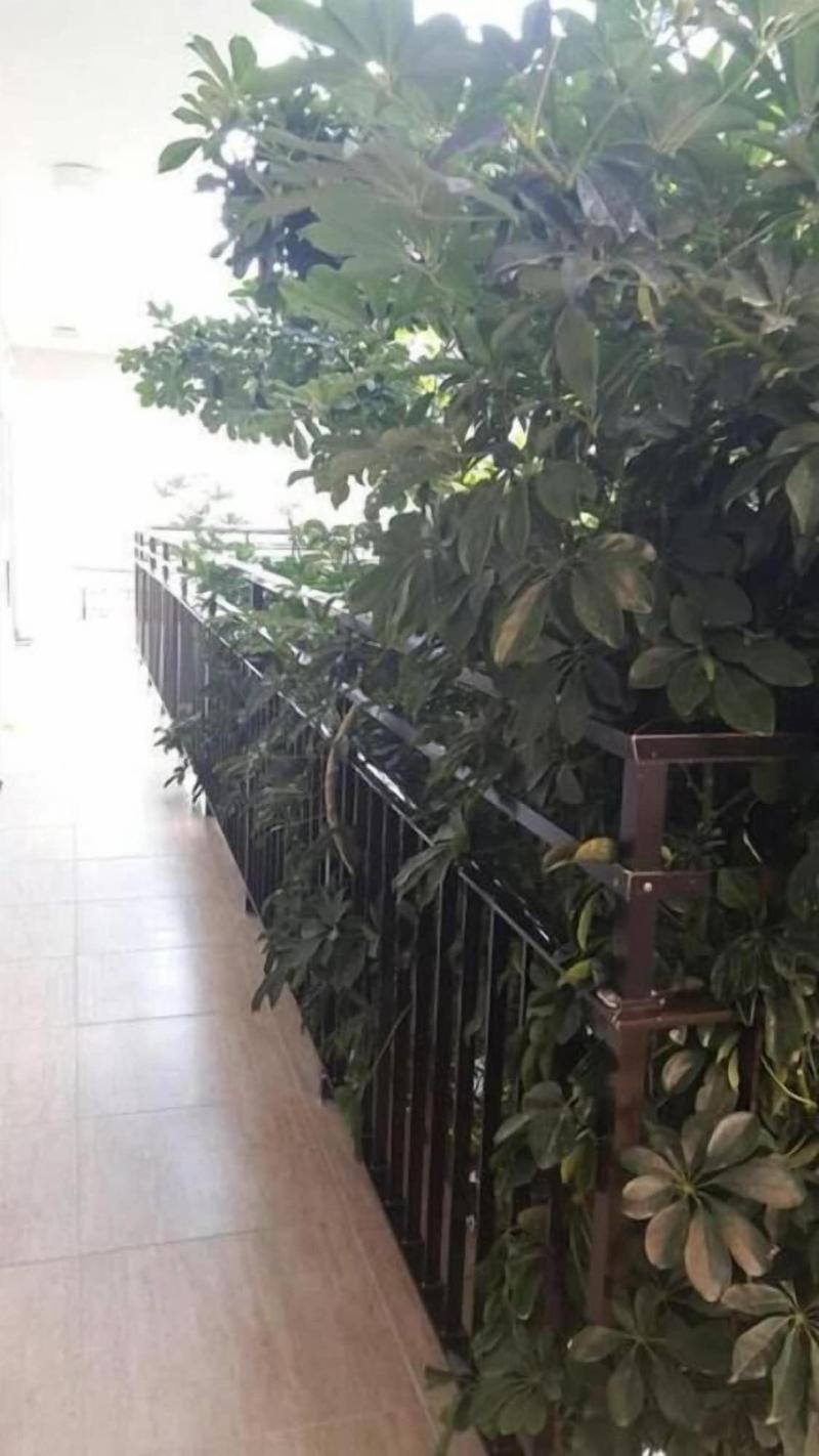 Myriama Apartments image