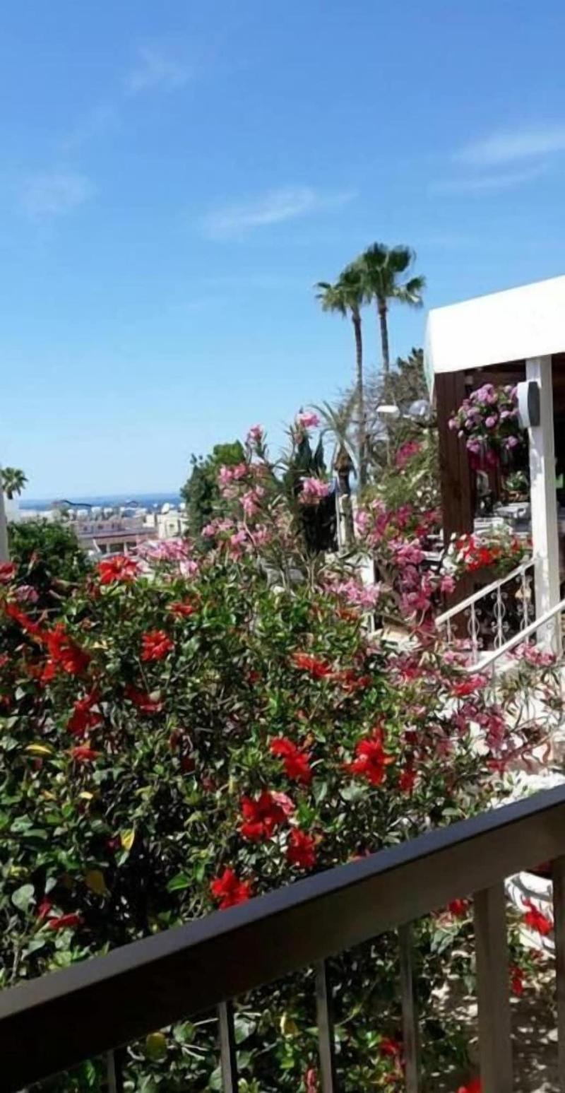 Myriama Apartments image