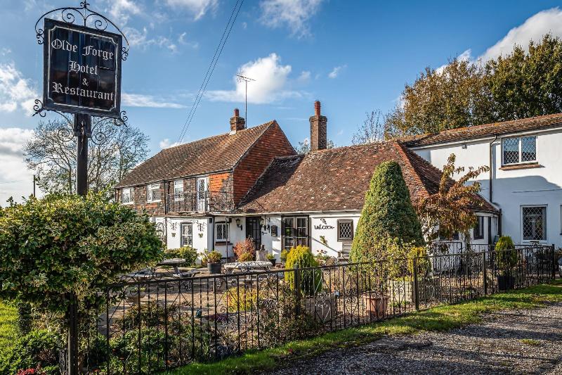 The Olde Forge Hotel image