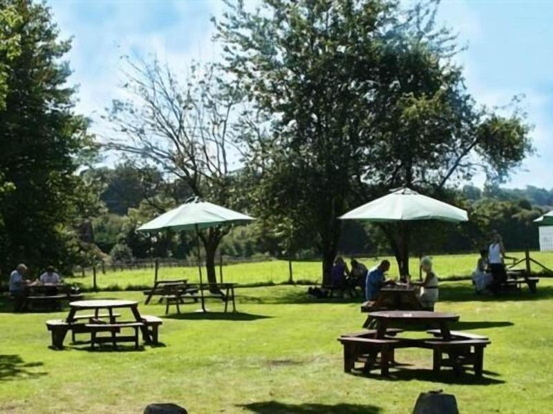The Nags Head — general view