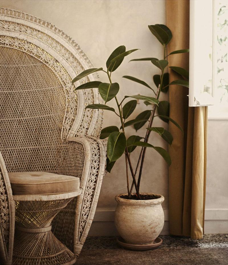 Shila Athens image
