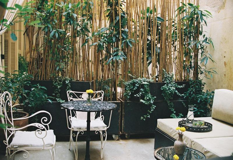 Shila Athens image