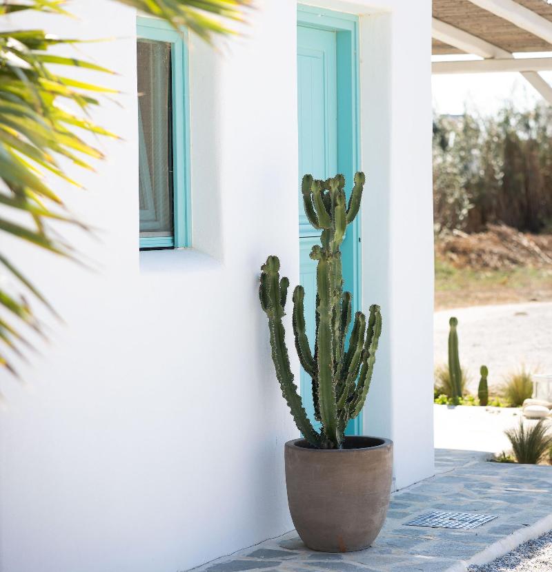 Ploes Seaside Houses - Image 7