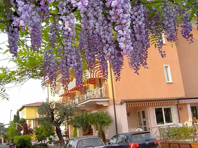 Hotel Alsazia image