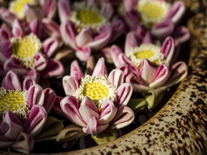 Savada Angkor Boutique Hotel image