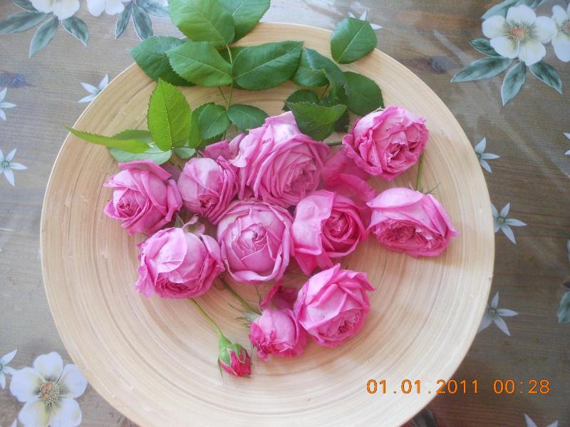 Afrodite Hotel image