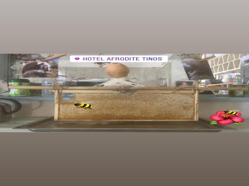 Afrodite Hotel image