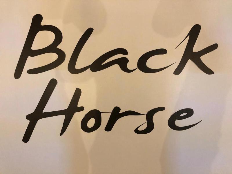 Black Horse image