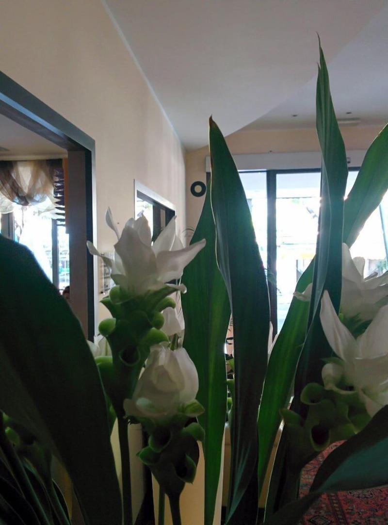 Hotel Gambrinus image