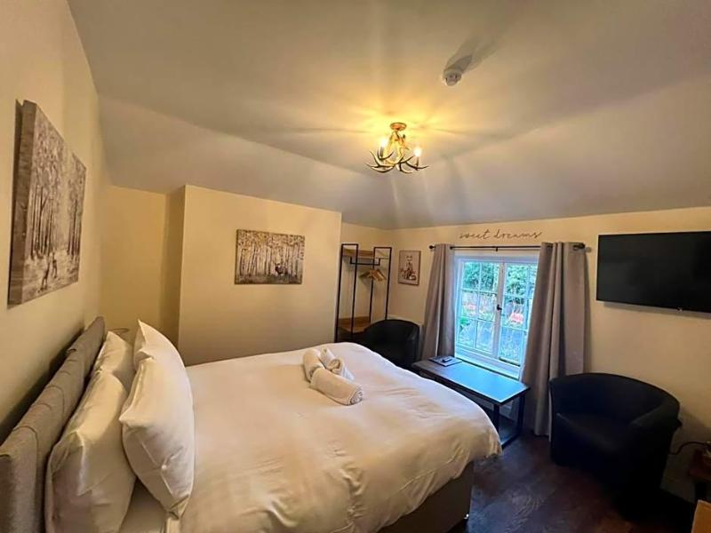The New Forest Inn image