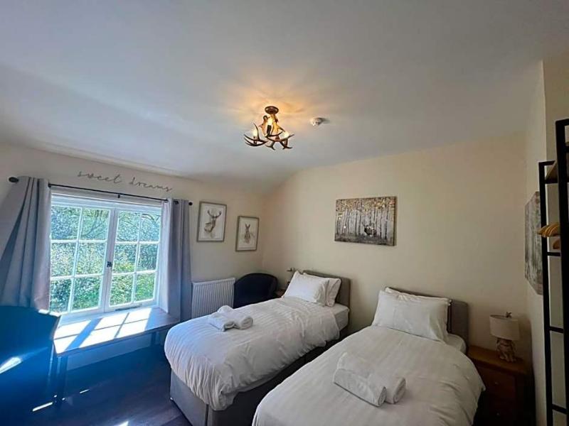 The New Forest Inn image