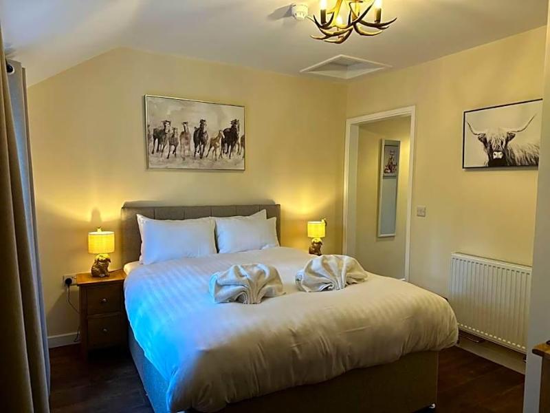 The New Forest Inn image