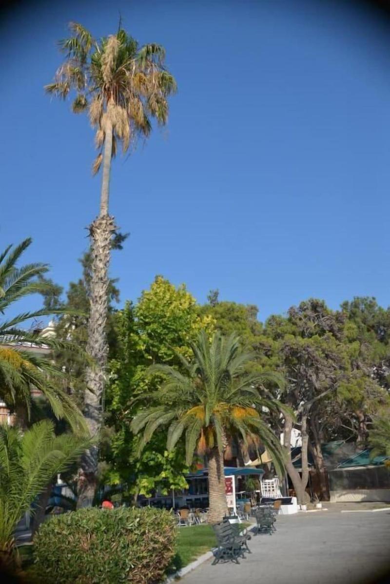 Akti image