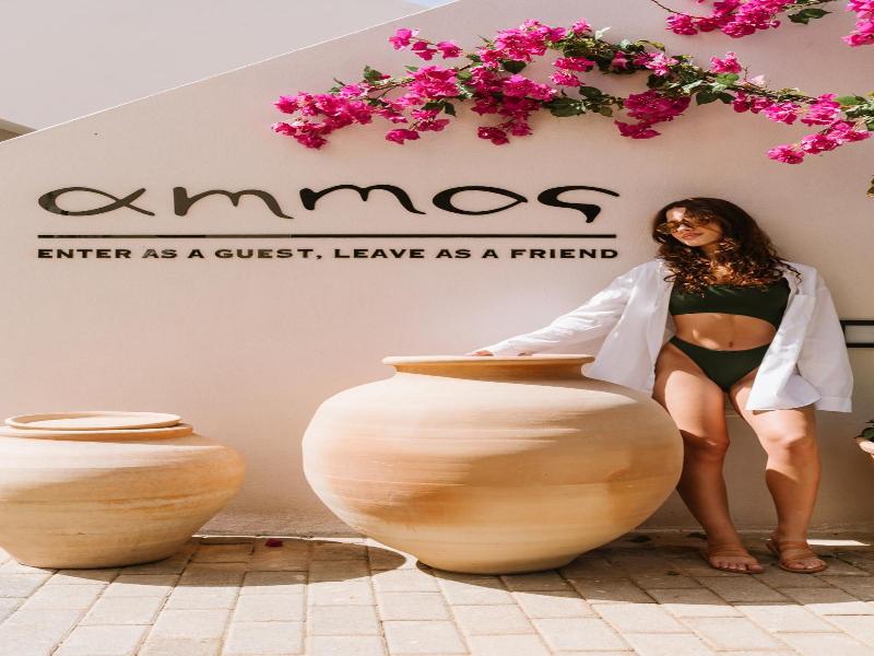 Ammos Boutique Apartments & Suites image