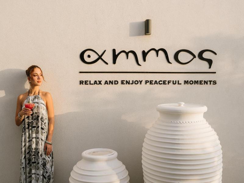 Ammos Boutique Apartments & Suites image