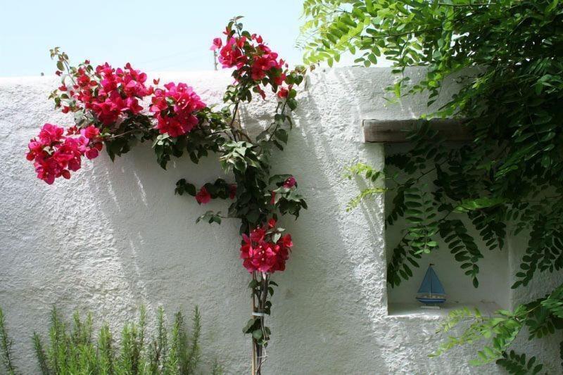 Alenos Boutique Hotel