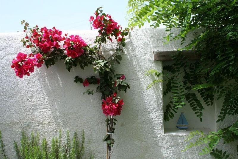 Alenos Boutique Hotel