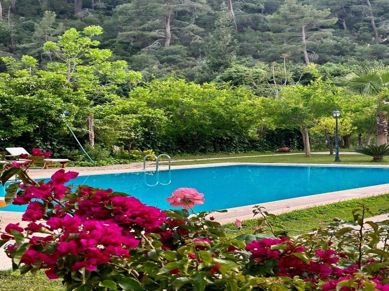 Sedir Palas Hotel — general view