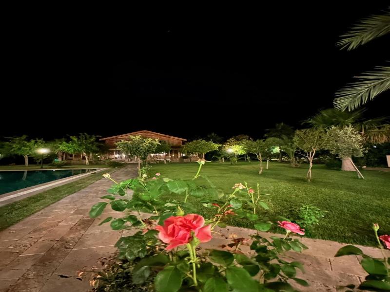 Sedir Palas Hotel