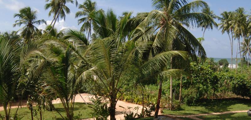 Wunderbar Beach Hotel image
