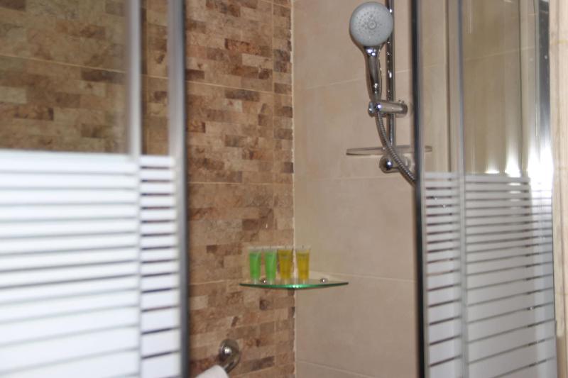 Saray Hotel image