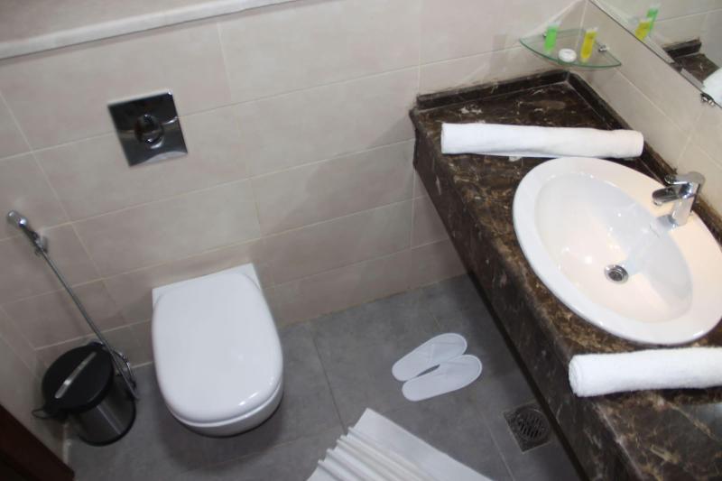 Saray Hotel image