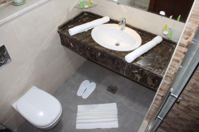 Saray Hotel image