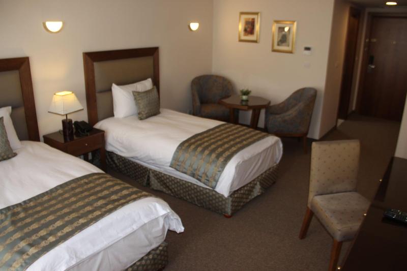 Saray Hotel image