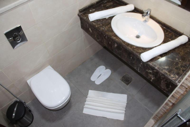 Saray Hotel image