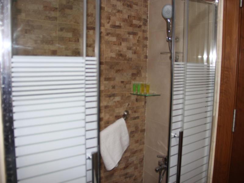 Saray Hotel image