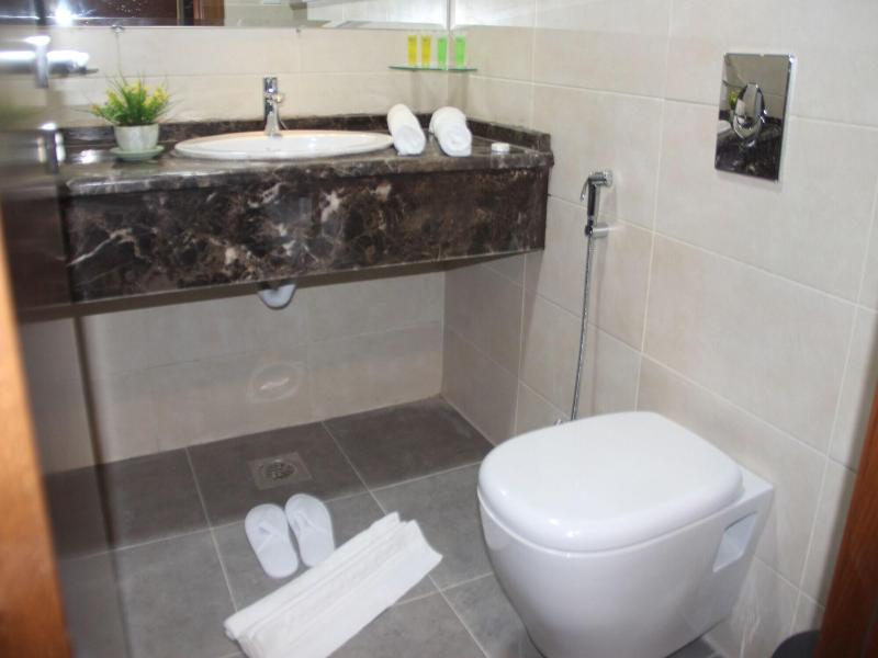 Saray Hotel image