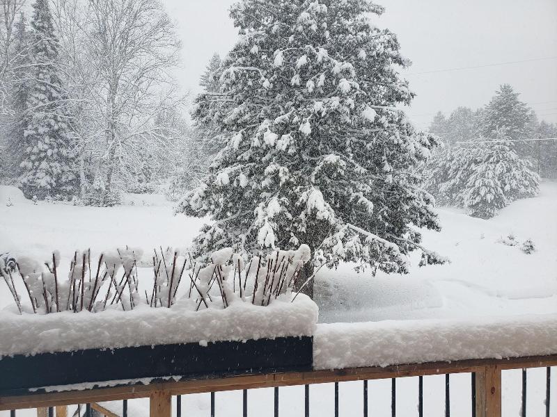 Le Den De Tremblant image
