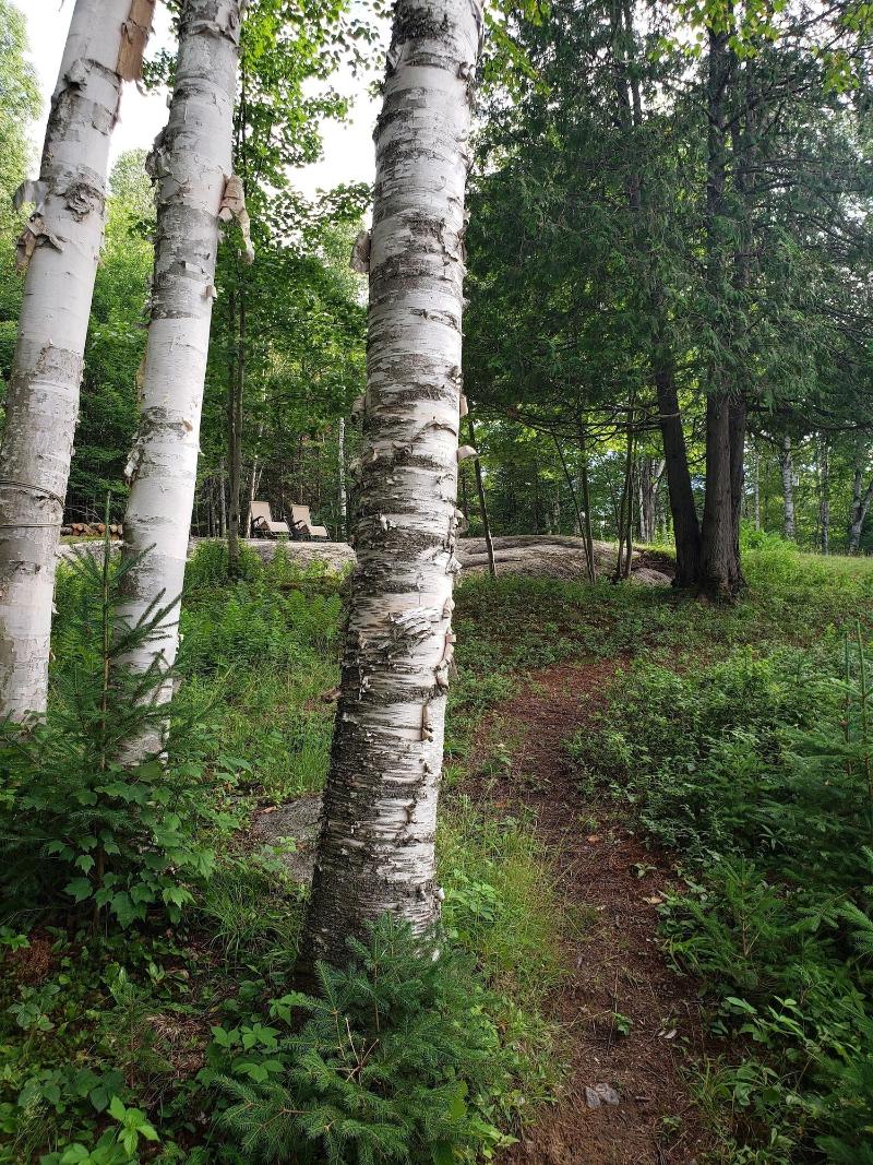 Le Den De Tremblant image