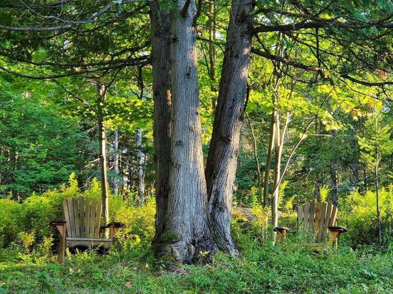 Le Den De Tremblant image
