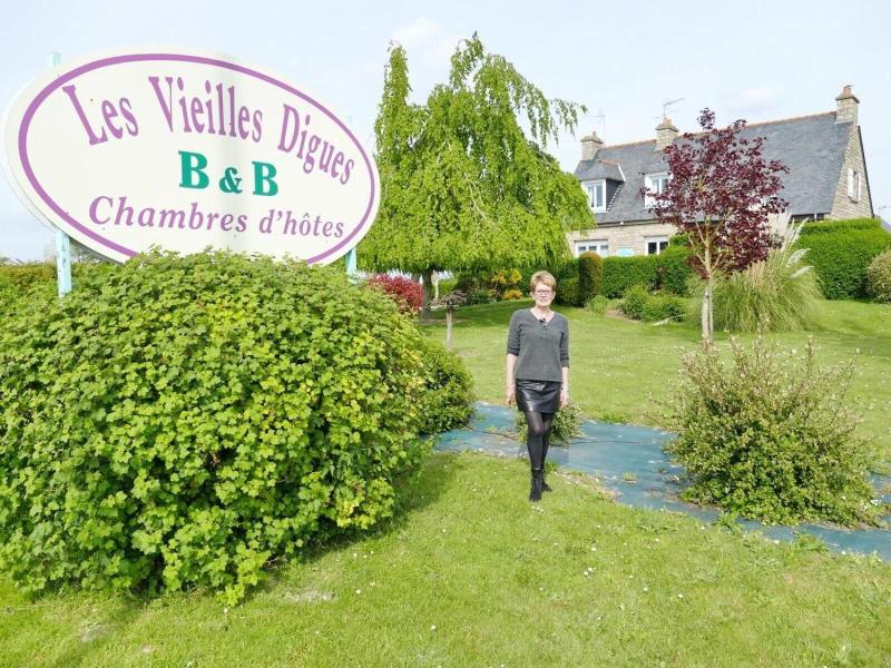 Les Vieilles Digues image