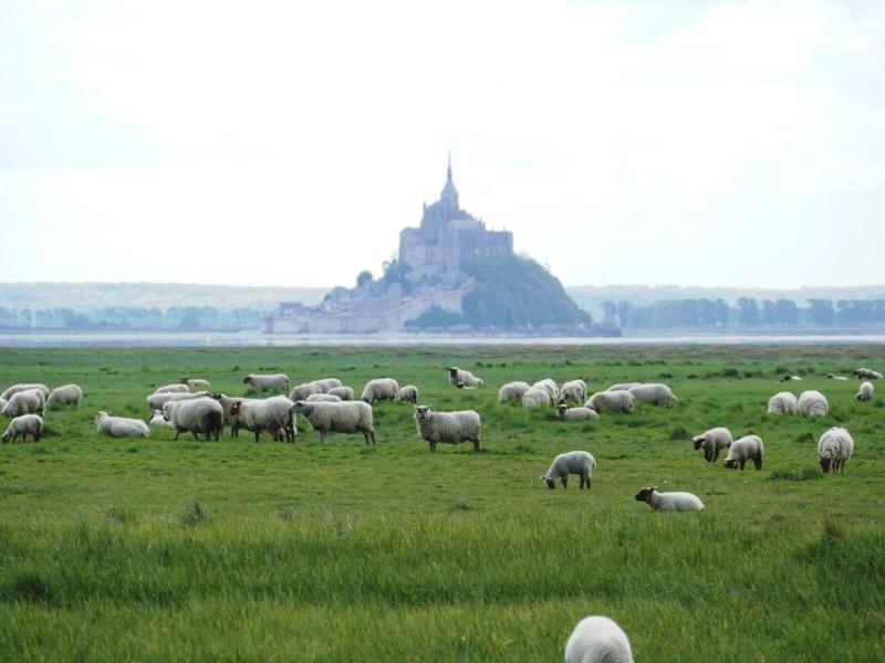 Les Vieilles Digues image