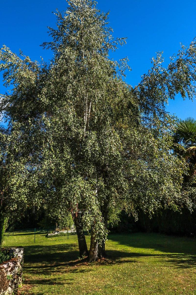 Domaine Des 3 Marmottes image