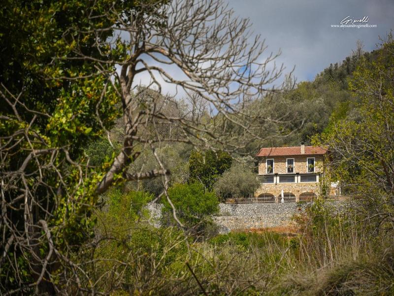 Al Podere image
