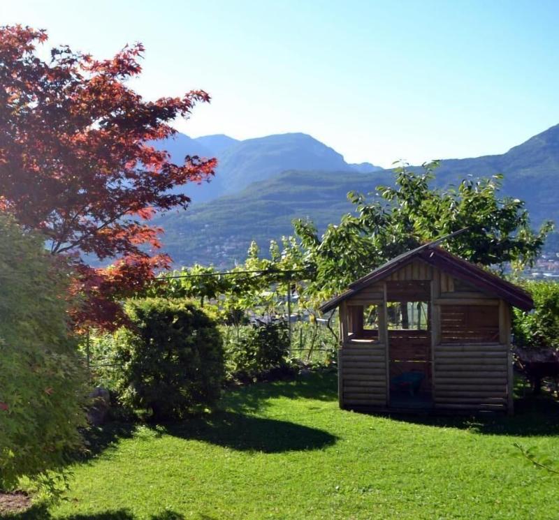 B&B La Betulla image