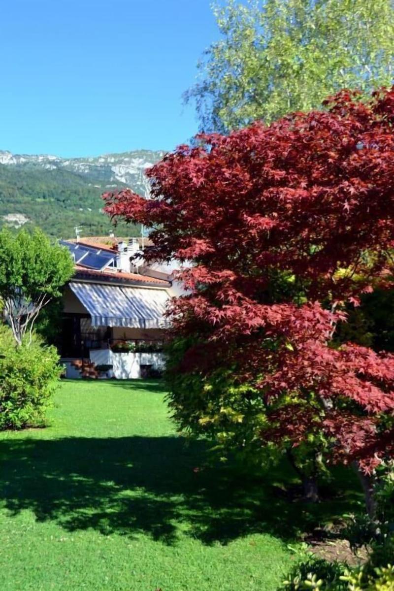 B&B La Betulla image