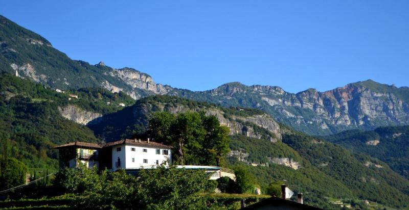 B&B La Betulla image