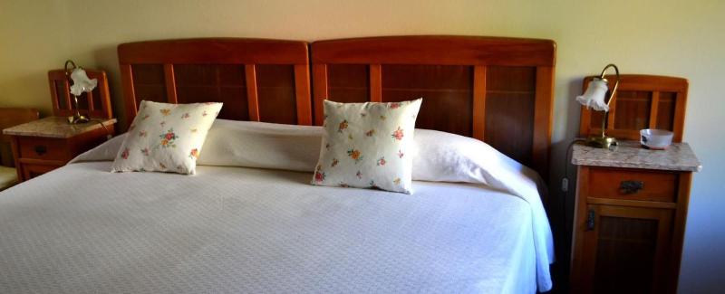 B&B La Betulla image