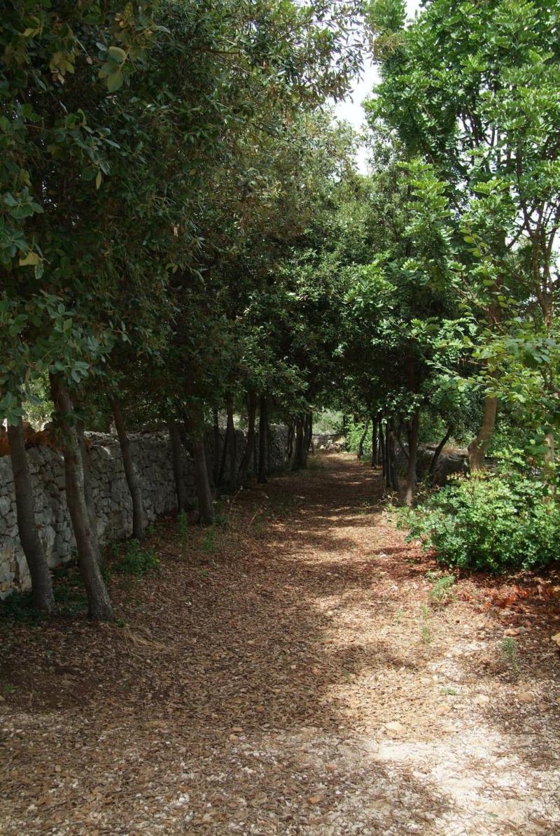 Masseria Trotta image