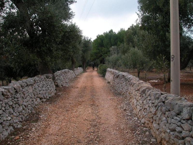 Masseria Trotta image