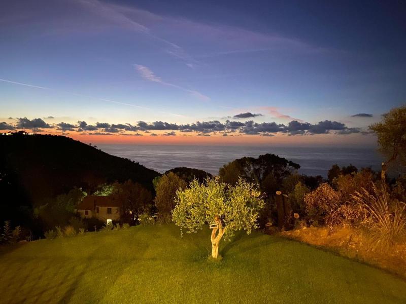B&B Le Ginestre image