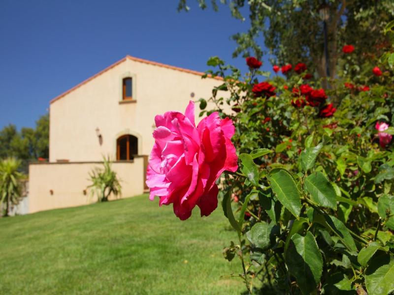 B&B Le Ginestre image