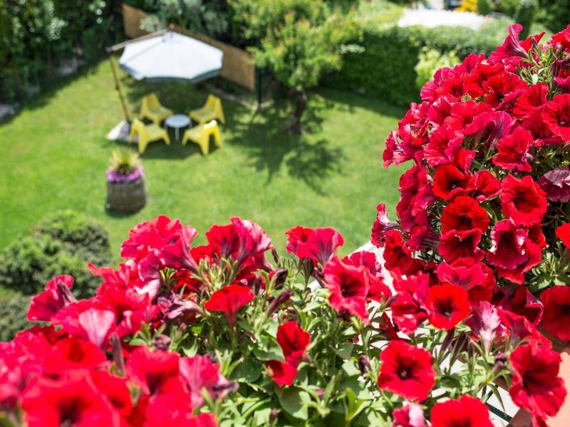 B&B Il Girasole image