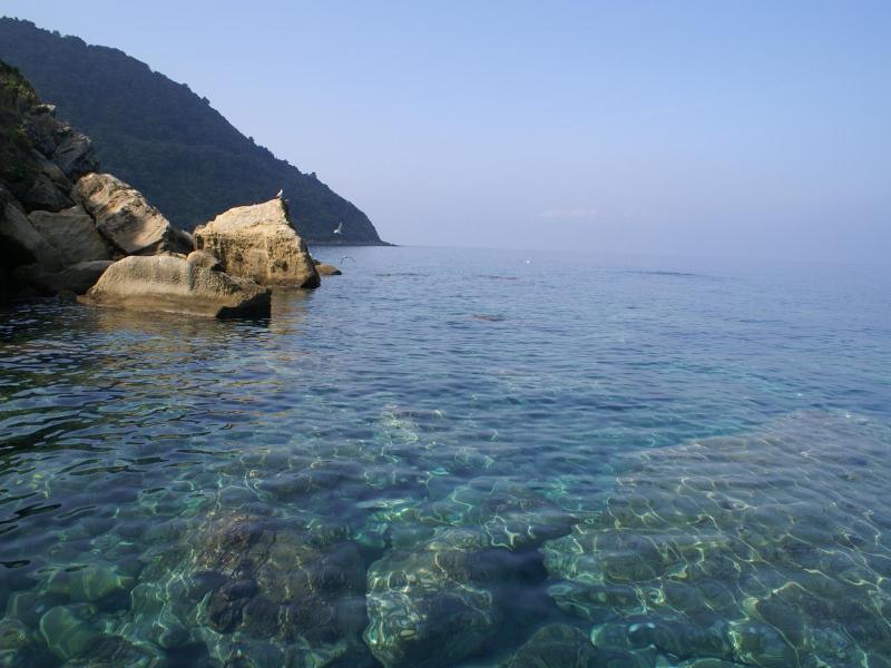 B&B Il Girasole image
