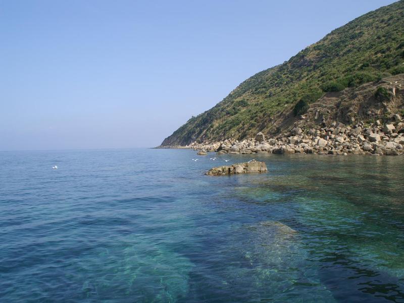 B&B Il Girasole image